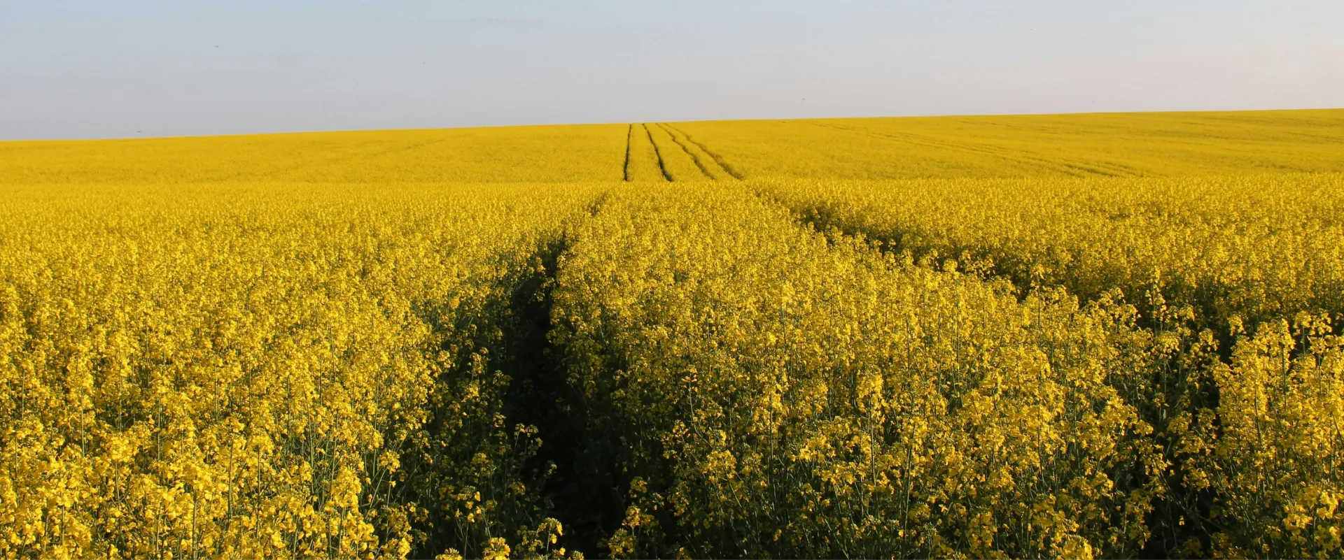 Az allergiás tünetek csökkentése és kezelése